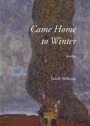 Came Home to Winter by Judith Skillman