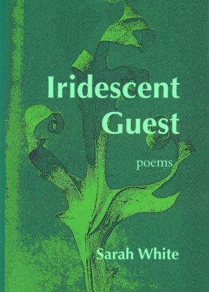 Iridescent Guest by Sarah White