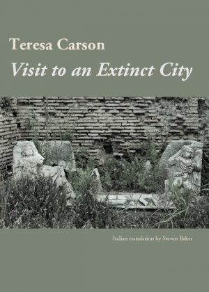 Visit to an Extinct City by Teresa Carson, first in the series The Argument of Time